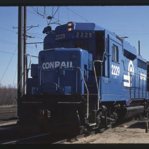 Untitled Ralph Curcio Photo