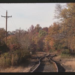 Untitled Ralph Curcio Photo