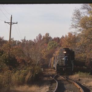 Untitled Ralph Curcio Photo