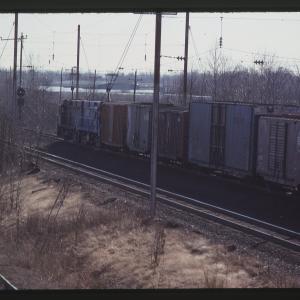 Untitled Ralph Curcio Photo