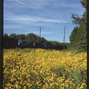 Untitled Ralph Curcio Photo