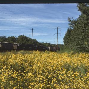 Untitled Ralph Curcio Photo