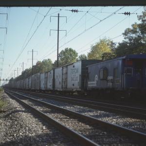 Untitled Ralph Curcio Photo