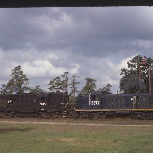 Untitled Ralph Curcio Photo