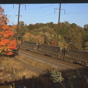 Untitled Ralph Curcio Photo