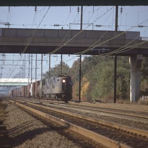 Untitled Ralph Curcio Photo