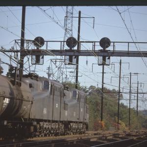 Untitled Ralph Curcio Photo