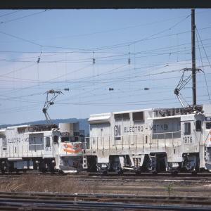 Untitled Ralph Curcio Photo