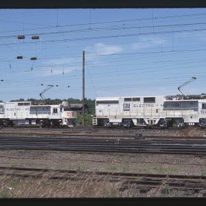 Untitled Ralph Curcio Photo