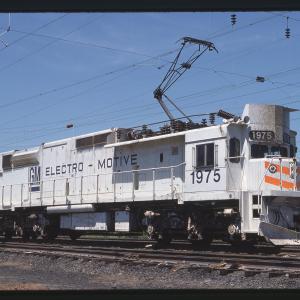 Untitled Ralph Curcio Photo