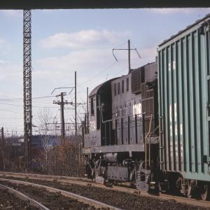 Untitled Ralph Curcio Photo