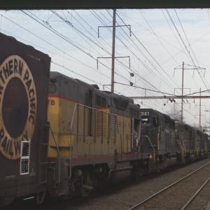 Untitled Ralph Curcio Photo