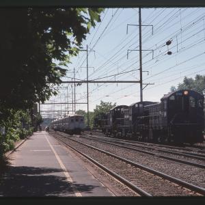 Untitled Ralph Curcio Photo