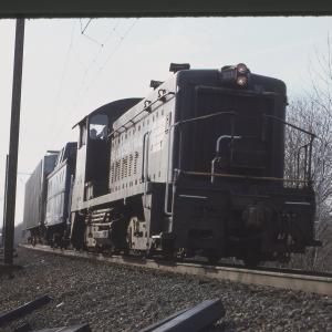 Untitled Ralph Curcio Photo