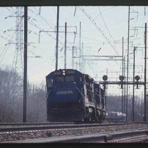 Untitled Ralph Curcio Photo