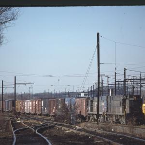 Untitled Ralph Curcio Photo