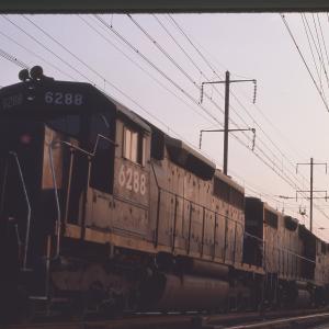 Untitled Ralph Curcio Photo