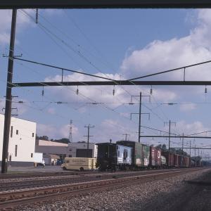 Untitled Ralph Curcio Photo