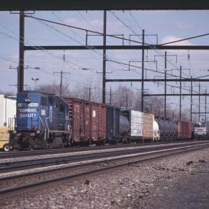 Untitled Ralph Curcio Photo