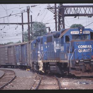 Untitled Ralph Curcio Photo