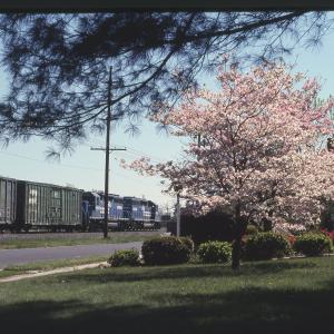 Untitled Ralph Curcio Photo of the Penns Grove Secondary in NJ