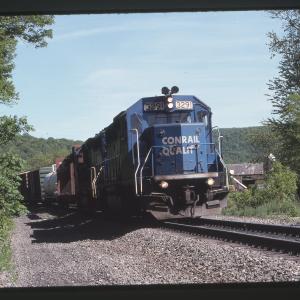 Untitled Ralph Curcio Photo