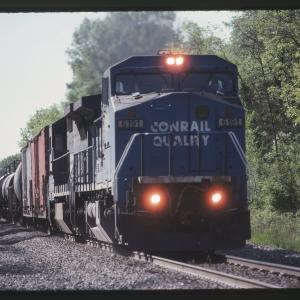 Untitled Ralph Curcio Photo