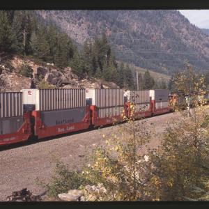 Sealand train on Burlington Northern