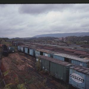Boxcars at Rose Yard in Altoona, PA