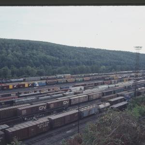 Allentown Yard in Allentown, PA