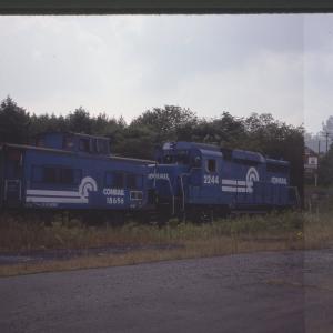 Untitled Ralph Curcio Photo 2