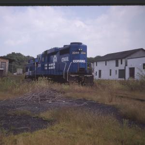 Untitled Ralph Curcio Photo 4