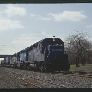 Untitled Ralph Curcio Photo 6