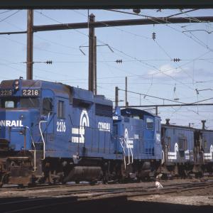 Untitled Ralph Curcio Photo 40