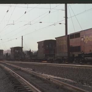 Untitled Ralph Curcio Photo 70