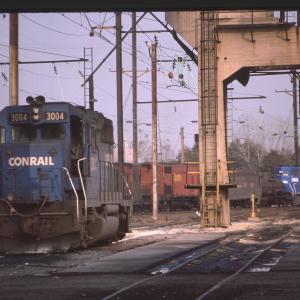 Untitled Ralph Curcio Photo 73
