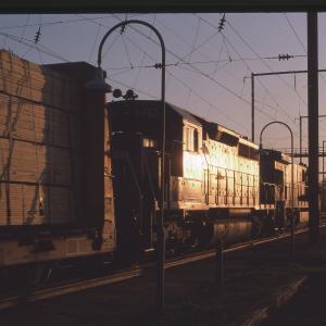 Untitled Ralph Curcio Photo 91