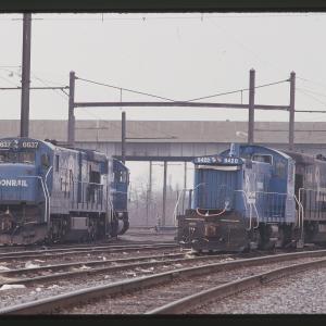 Untitled Ralph Curcio Photo 142