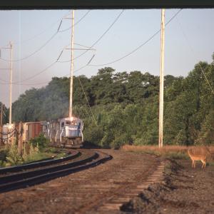 Untitled Ralph Curcio Photo 148