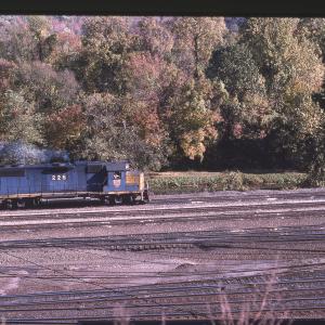Untitled Ralph Curcio Photo 200