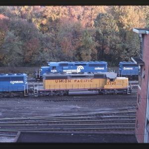 Untitled Ralph Curcio Photo 207