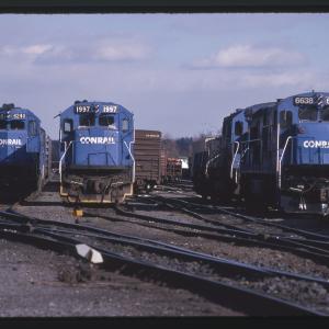 Untitled Ralph Curcio Photo 216