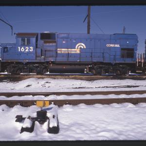Untitled Ralph Curcio Photo 229