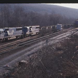 Untitled Ralph Curcio Photo 257