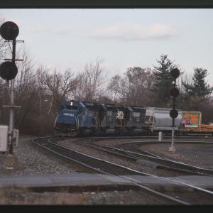Untitled Ralph Curcio Photo 260