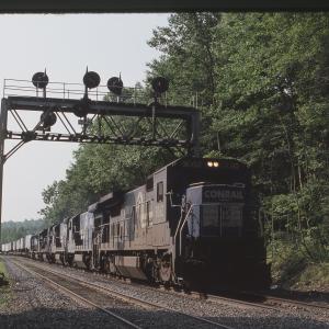 Untitled Ralph Curcio Photo 269