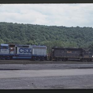 Untitled Ralph Curcio Photo 274