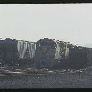 Untitled Ralph Curcio Photo 279