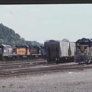 Untitled Ralph Curcio Photo 282