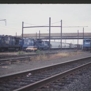 Untitled Ralph Curcio Photo 314